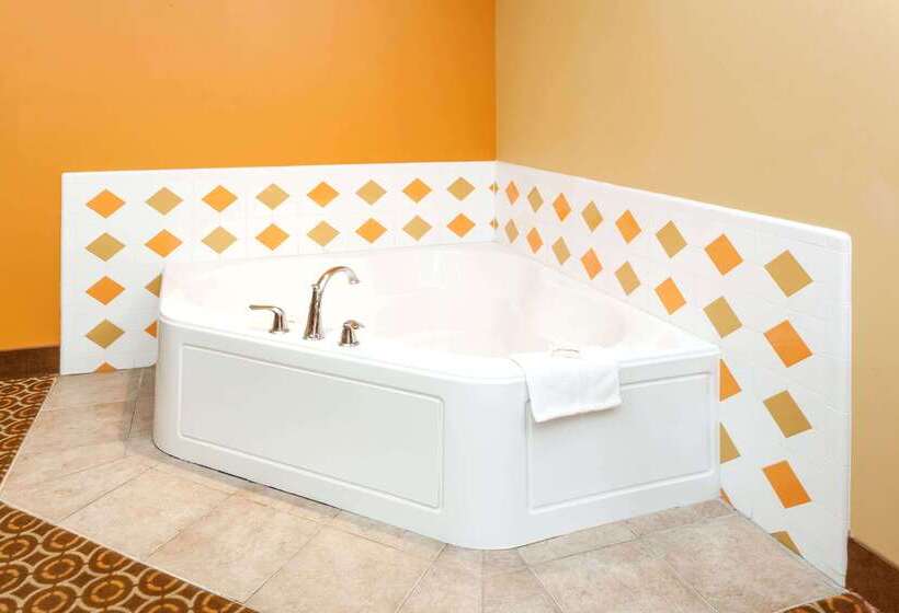 Microtel By Wyndham South Bend Notre Dame University