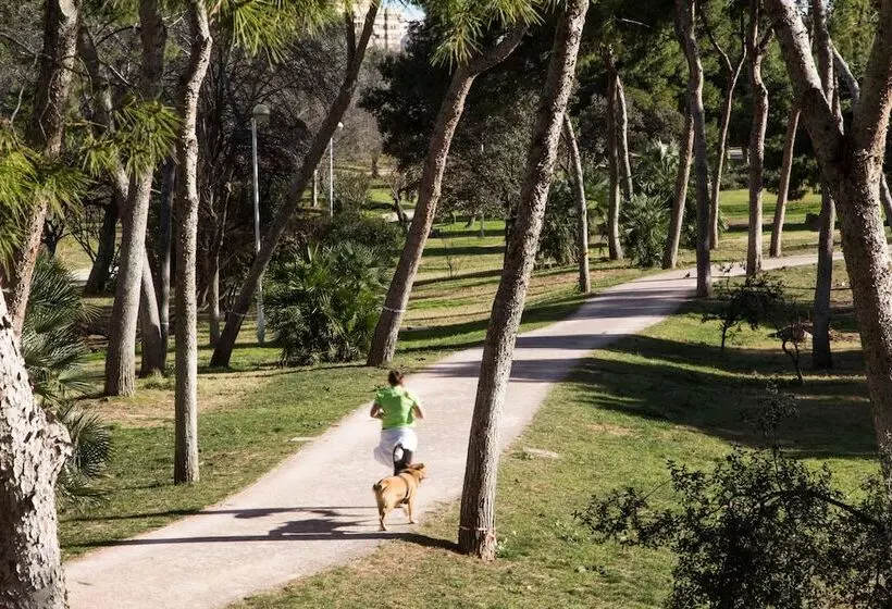 Pio Xii Apartments Valencia