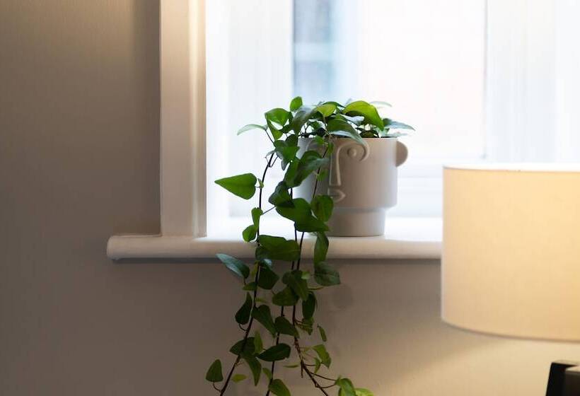 High Street Town House