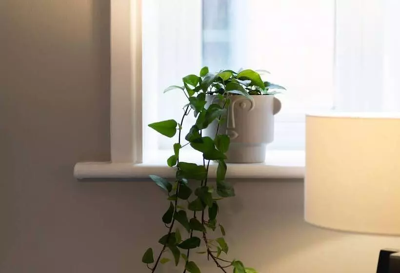 High Street Town House