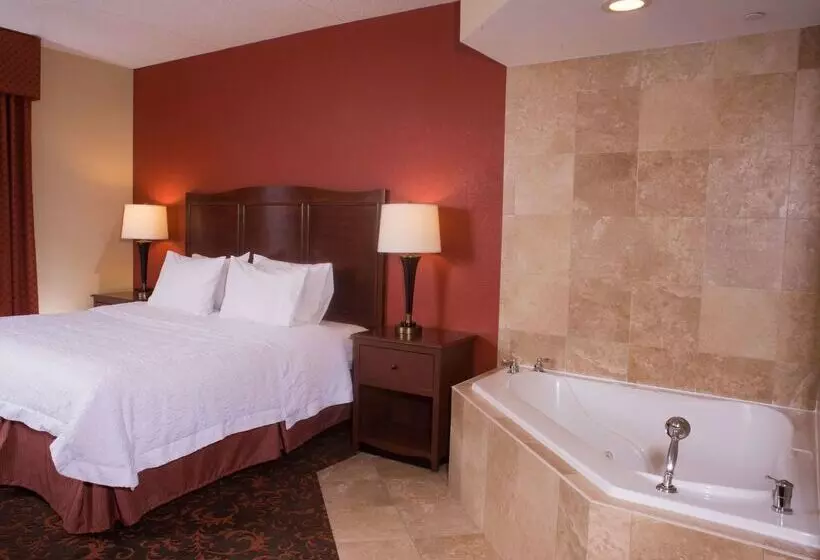 בית מלון כפרי Hampton Inn & Suites Woodstock, Va