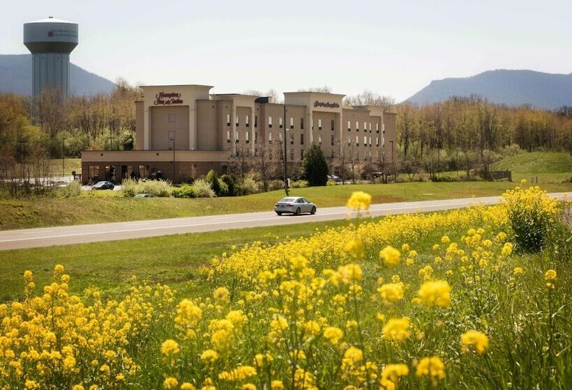 Отель Hampton Inn & Suites Woodstock, Va