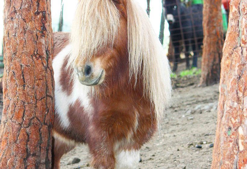 בית מלון כפרי Apartamentos Turísticos Paraje San Ginés