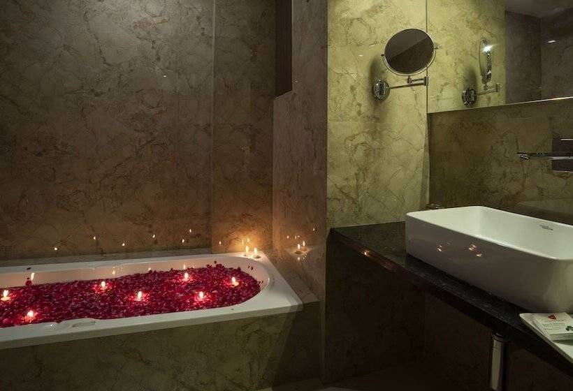 Hotel Shri Ram Excellency