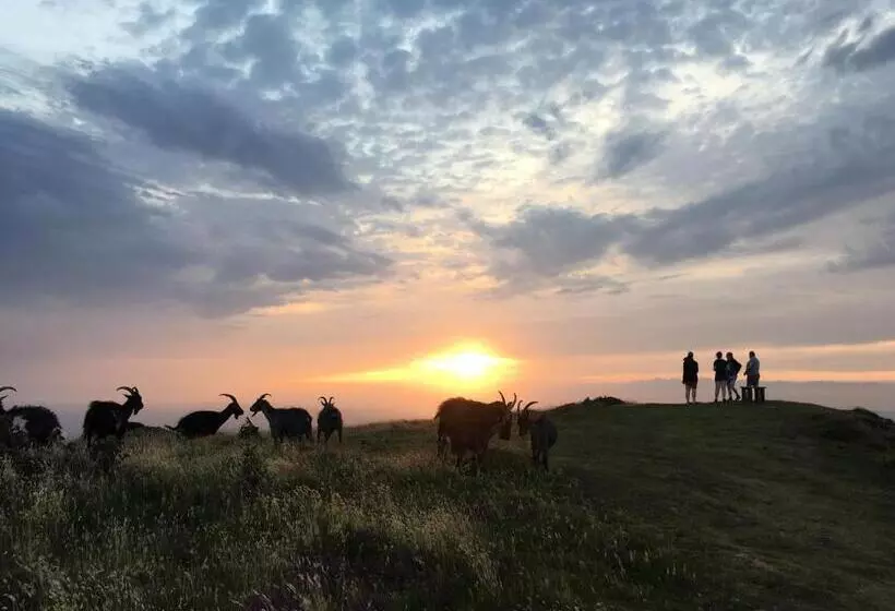 Отель The Denes