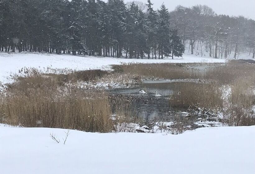 ホテル The Stables