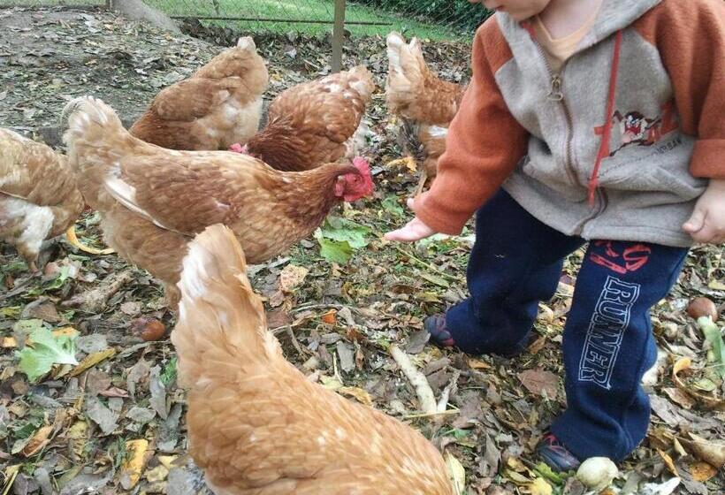 فندق فئة نجمة واحدة Lo Paller De Roc