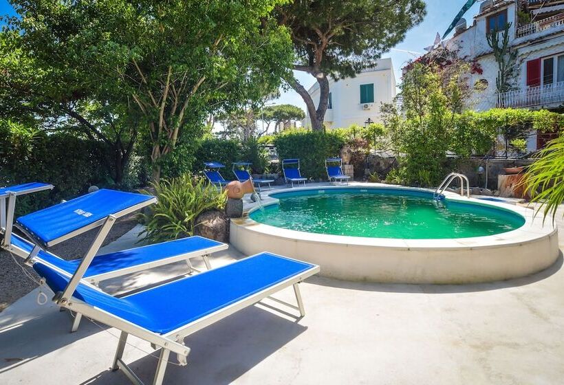 Hotel Albergo Italia   Beach