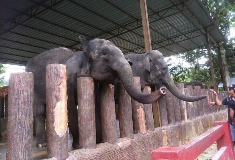 호텔 Cherengin Hills Convention & Spa Resort