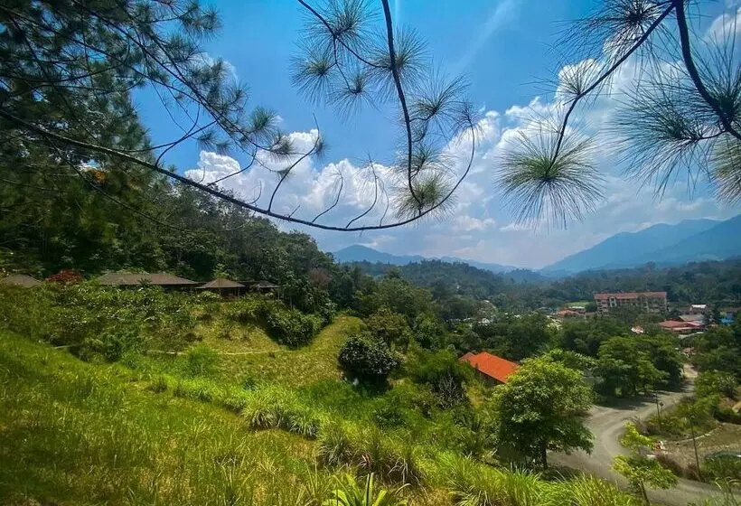 酒店 Cherengin Hills Convention & Spa Resort