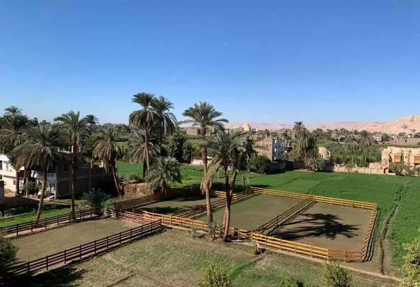 Cleopatra Hotel Luxor