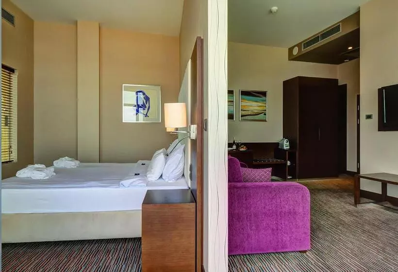 Hotel Copernicus Toruń