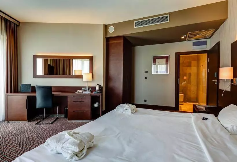 Hotel Copernicus Toruń