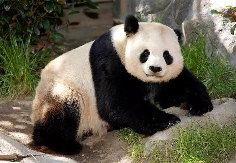 Отель Courtyard San Diego Airport/liberty Station