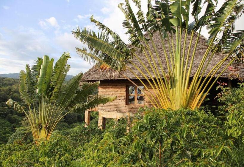 호텔 Neptune Ngorongoro Luxury Lodge   All Inclusive