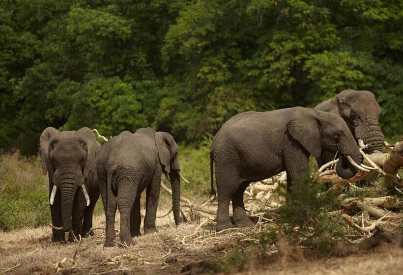 호텔 Neptune Ngorongoro Luxury Lodge   All Inclusive