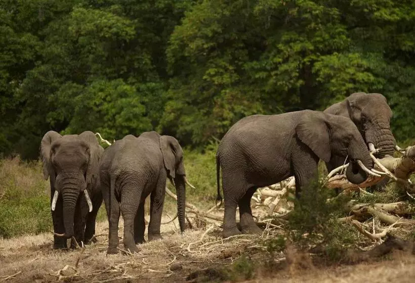 호텔 Neptune Ngorongoro Luxury Lodge All Inclusive