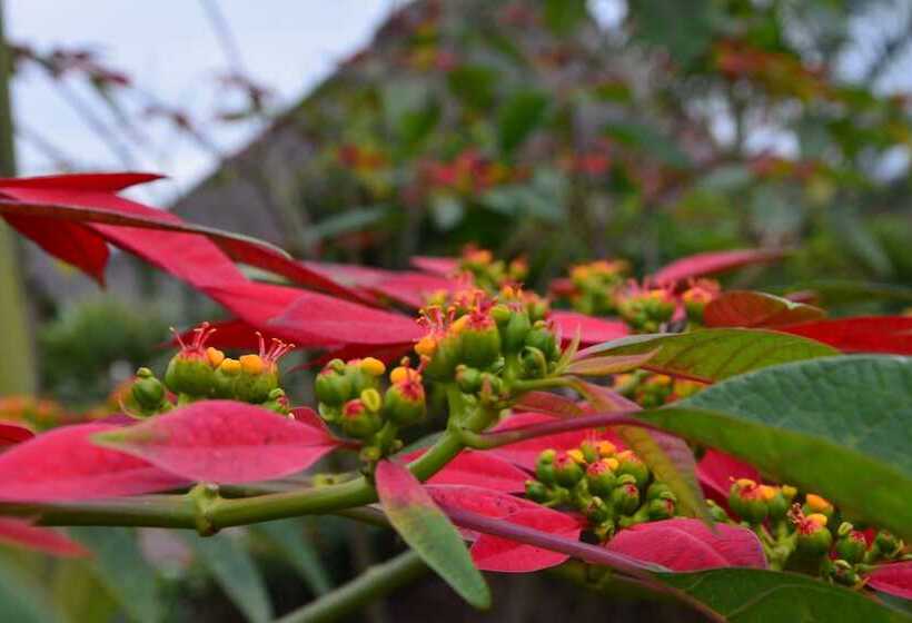 호텔 Neptune Ngorongoro Luxury Lodge   All Inclusive