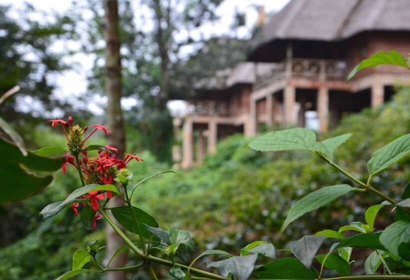 호텔 Neptune Ngorongoro Luxury Lodge   All Inclusive