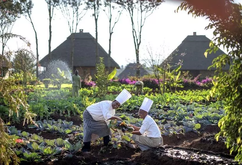 호텔 Neptune Ngorongoro Luxury Lodge All Inclusive