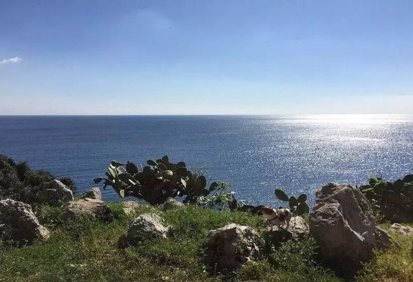 ホテル Piccolo Mondo