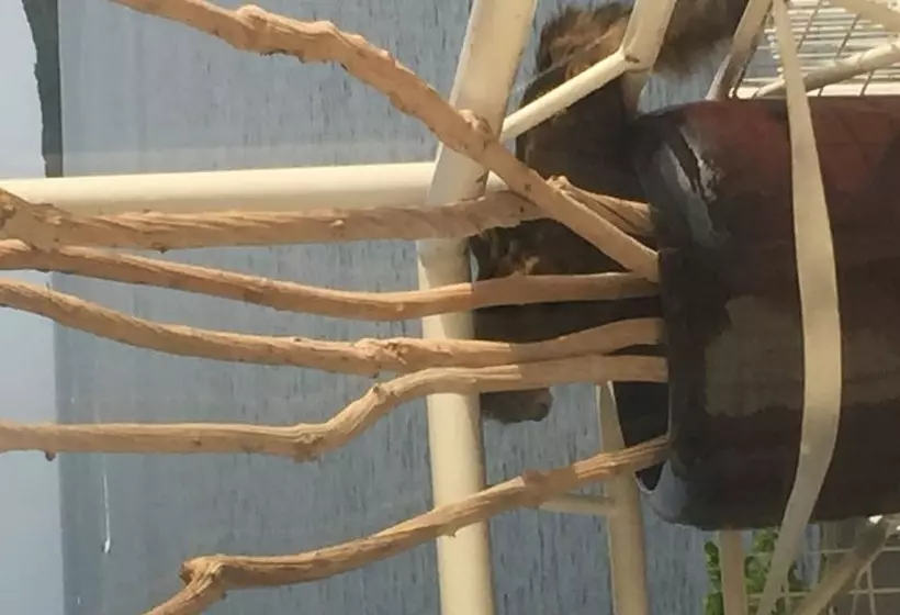 هتل Saint John Perse