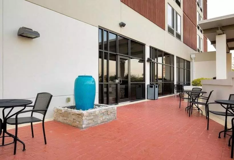 酒店 Springhill Suites By Marriott Mcallen Convention Center