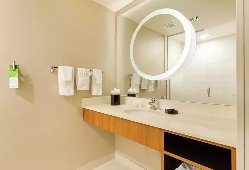 酒店 Springhill Suites By Marriott Mcallen Convention Center