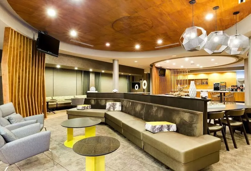 酒店 Springhill Suites By Marriott Mcallen Convention Center