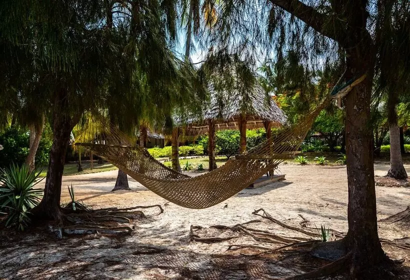 Курорт Anna Of Zanzibar