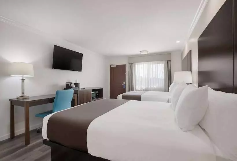 Surestay Plus Hotel By Best Western Upland   Ontario North