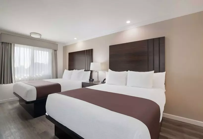 Surestay Plus Hotel By Best Western Upland   Ontario North