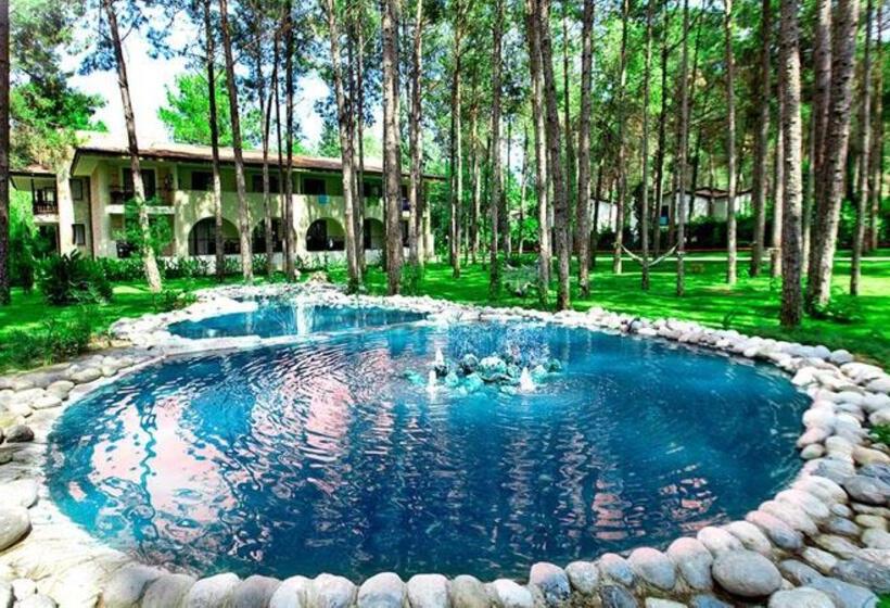 استراحتگاه Champion Holiday Village