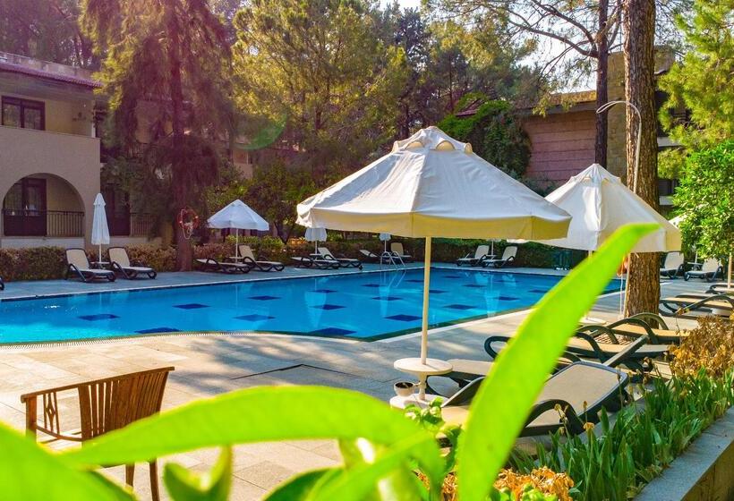 استراحتگاه Champion Holiday Village