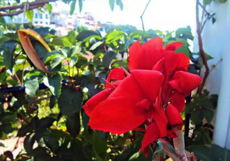 هتل Angelos Apartments