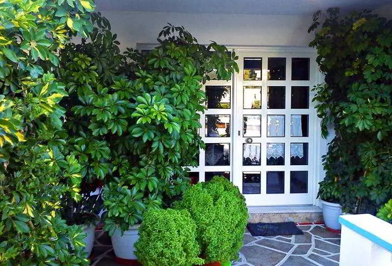 هتل Angelos Apartments