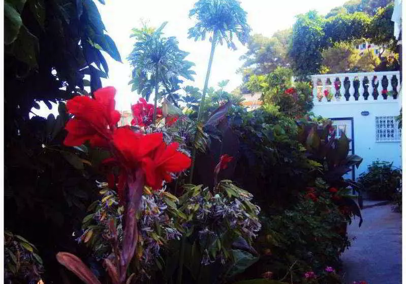 هتل Angelos Apartments