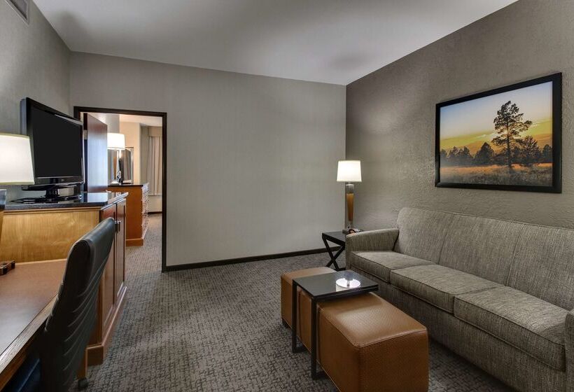 ホテル Drury Inn & Suites Phoenix Happy Valley