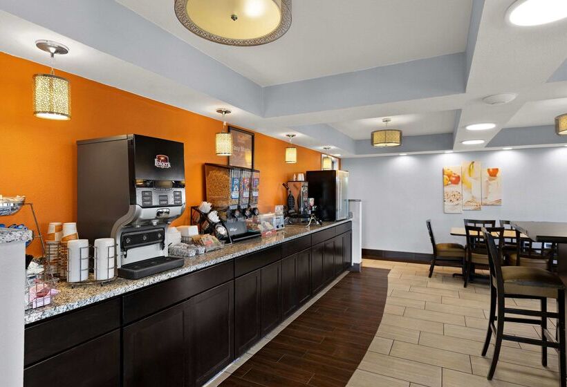 호텔 Econo Lodge White Pine Morristown I81 & I40 Split