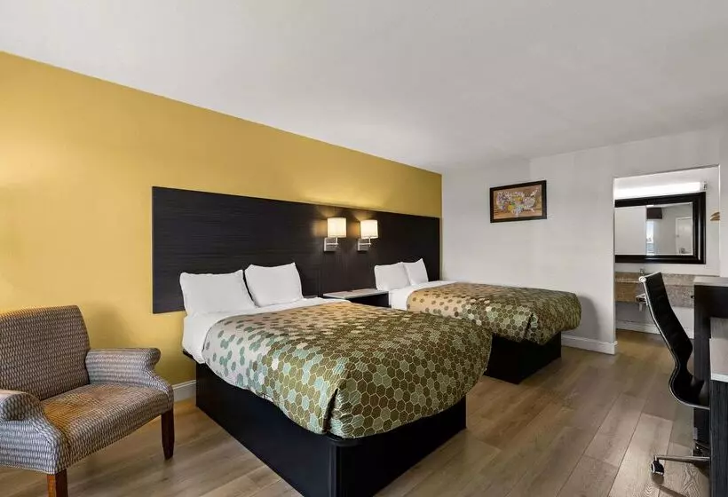 호텔 Econo Lodge White Pine Morristown I81 & I40 Split