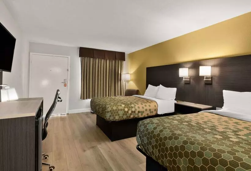 호텔 Econo Lodge White Pine Morristown I81 & I40 Split