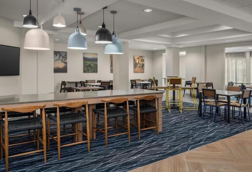 호텔 Fairfield Inn & Suites Roanoke Hollins/i81