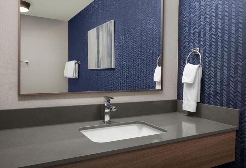 호텔 Fairfield Inn & Suites Roanoke Hollins/i81