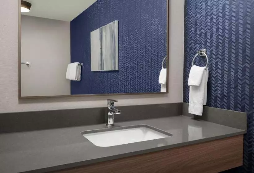 호텔 Fairfield Inn & Suites Roanoke Hollins/i81