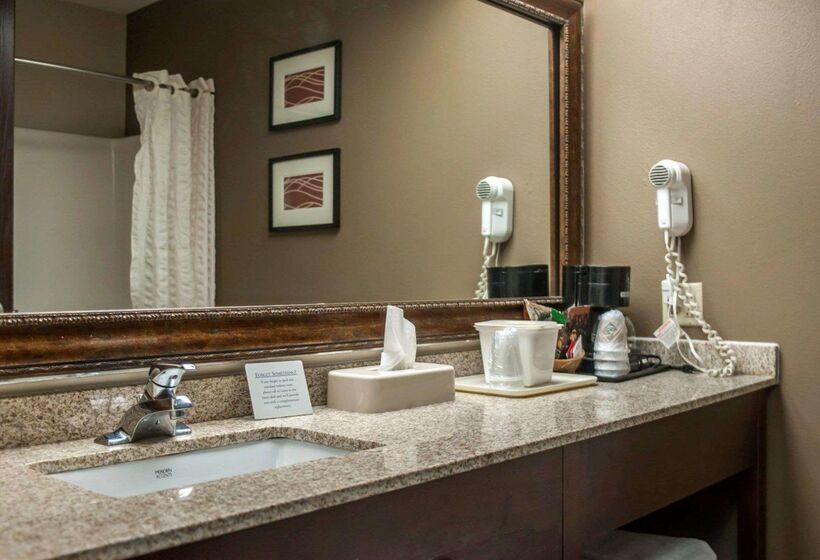 호텔 Quality Inn & Suites Near St. Louis And I255