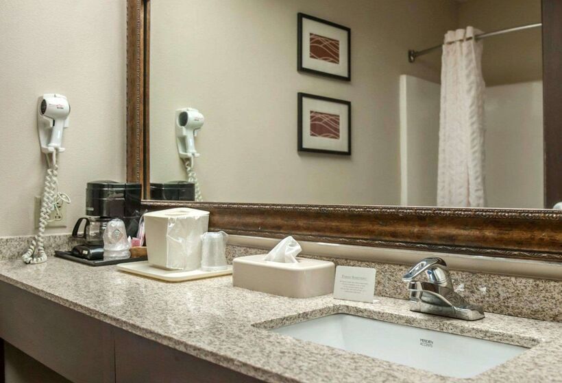 호텔 Quality Inn & Suites Near St. Louis And I255