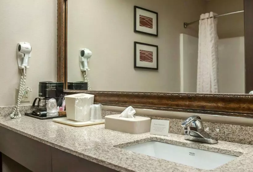 호텔 Quality Inn & Suites Near St. Louis And I255