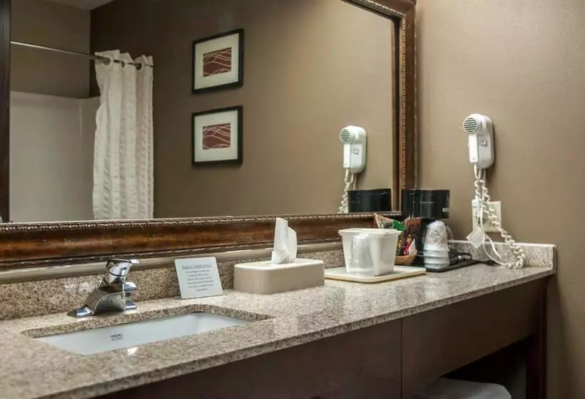 호텔 Quality Inn & Suites Near St. Louis And I255