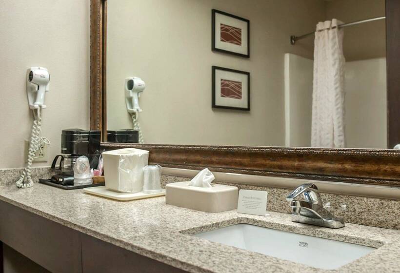 호텔 Quality Inn & Suites Near St. Louis And I255