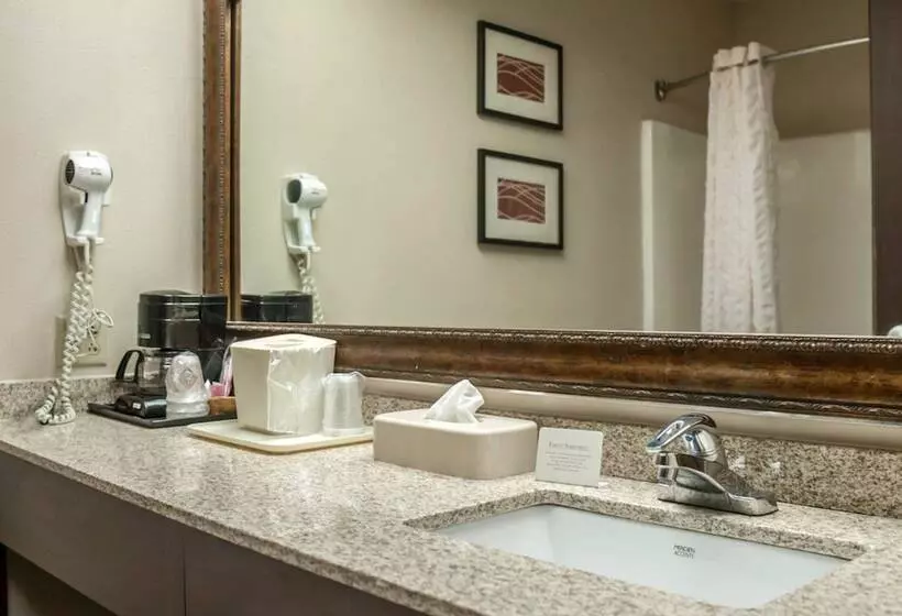 호텔 Quality Inn & Suites Near St. Louis And I255